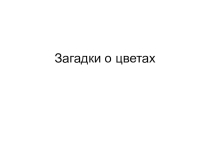 Презентация Загадки о цветах