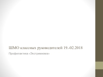 Презентация для ШМО классных руководителей Профилактика экстремизма в школе