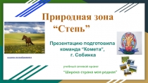 Презентация по окружающему миру на тему  Природные зоны .Степь(4 класс)
