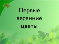 Презинтация по изобразительному искусству на тему Первые весенние цветы