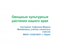 Презентация по окружающему миру на тему Овощные культуры нашего края