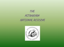 Презентация по английскому языку Астраханский заповедник. (6 класс)