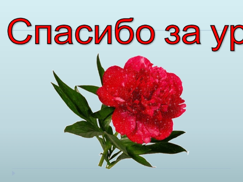 Презентация по литературе Тема памяти в рассказе Н. Н. Носова Живое пламя (7 класс) Спасибо за урок! Спасибо за урок!