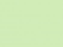 Презентация к НОД Непросто лес ,а тайга (6-7 лет)