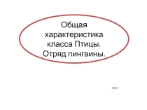 Презентация по биологии на тему Общая характеристика класса Птицы. Отряд Пингвины (7 класс)