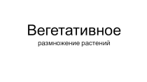 Вегетативное размножение покрытосеменных растений