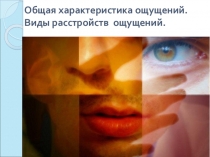 Презентация по теме Ощущения