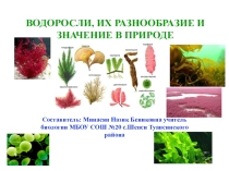 Презентация по биологии на тему Водоросли, их разнообразие и значение в природе