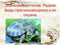 Презентация по теме Охрана пресмыкающихся ( 7 класс )