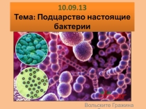 Настоящие бактерии