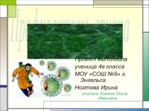 Проект по окружающему миру Профилактика гриппа