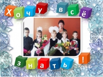 Зимующие птицы села Советский Путь Алтайского края