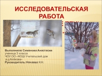 Презентация Покормите птиц зимой