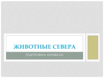 Презентация по ознакомлению с миром природы Животные севера