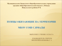 Презентация проекта Путешествии натуралиста