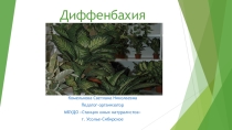 Презентация по окружающему миру Диффенбахия