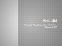 Презентация по теме Мышцы