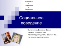 Поведение людей в обществе