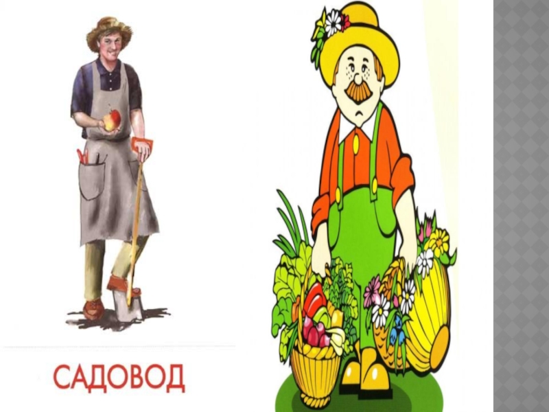 Презентация Профессии (1-2 классы)