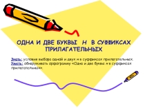 Урок русского языка в 6 классе Н-НН в суффиксах прилагательных