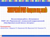 Презентация детского исследовательского проекта Покормите птиц зимой!