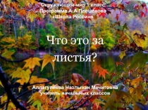 Презентация Что это за листья