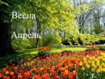 Презентация Кто первый покорил космос