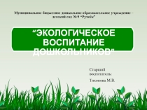 Презентация Экологическое воспитание дошкольников