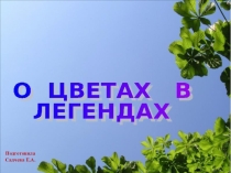 Презентация по окружающему миру в старшей группе
