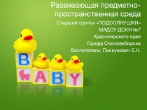 Развивающая предметно-пространственная среда