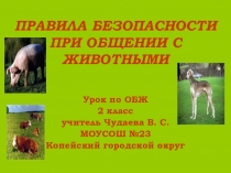 Презентация по ОБЖ Животные вокруг нас 3 класс