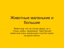 Презентация к уроку Животные маленькие и большие