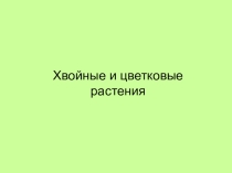 Презентация по окружающему миру Хвойные и цветковые растения  (2 класс)