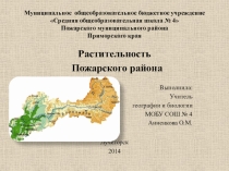 Презентация по географии на тему: Растительность Пожарского района Приморского края (8-9 класс)