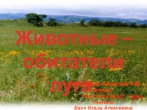 Презентация к уроку по предмету Окружающий мир  Животные - обитатели луга