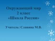 КоТехнологическая карта и презентация к уроку окружающего мира по теме Все профессии важны (2 класс)
