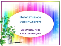 Презентация по теме Вегетативное размножение растений