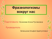 Презентация по русскому языку по теме Фразеологизмы