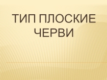 Презентация: тип Плоские черви