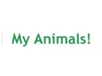 My animals. Презентация. 2 класс