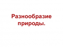 Презентация по окружающему миру на тему Разнообразие природы (1 класс)