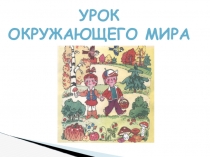 Презентация к уроку окружающего мира Правила дорожного движения