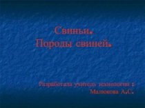 Презентация Свиньи. Породы свиней.