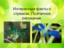 Интересные факты о стрекозе. Поэтапное рисование.