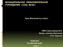 Презентация по биологии Эволюция человека, основные этапы.