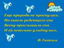 Презентация по географии на тему Разнообразие рельефа Земли (6 класс)