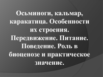 Кальмар