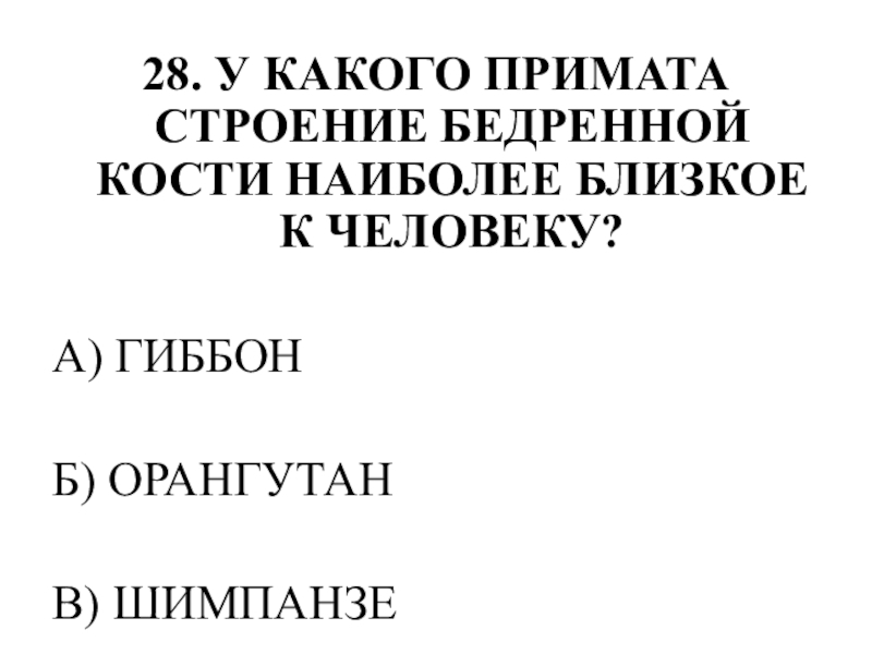 Тестирование по теме ОПОРНО-ДВИГАТЕЛЬНАЯ СИСТЕМА 28. У КАКОГО ПРИМАТА СТРОЕНИЕ БЕДРЕННОЙ КОСТИ НАИБОЛЕЕ БЛИЗКОЕ К ЧЕЛОВЕКУ?А) ГИББОНБ) ОРАНГУТАНВ) ШИМПАНЗЕ 28. У КАКОГО ПРИМАТА СТРОЕНИЕ БЕДРЕННОЙ КОСТИ НАИБОЛЕЕ БЛИЗКОЕ К ЧЕЛОВЕКУ?А) ГИББОНБ) ОРАНГУТАНВ) ШИМПАНЗЕ