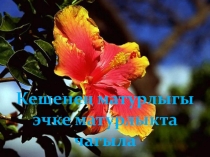 Презетация по татарскоой литературе Нәрсә ул матурлык