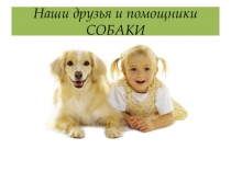 Наши друзья и помощники СОБАКИ